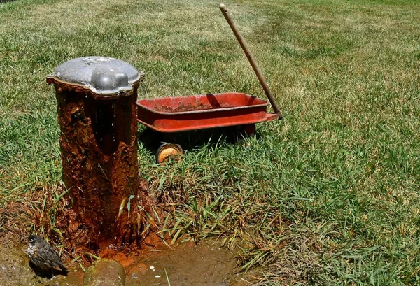 Young Robin Rests Water Artesian Well Child Old Red Wagon — Zdjęcie stockowe