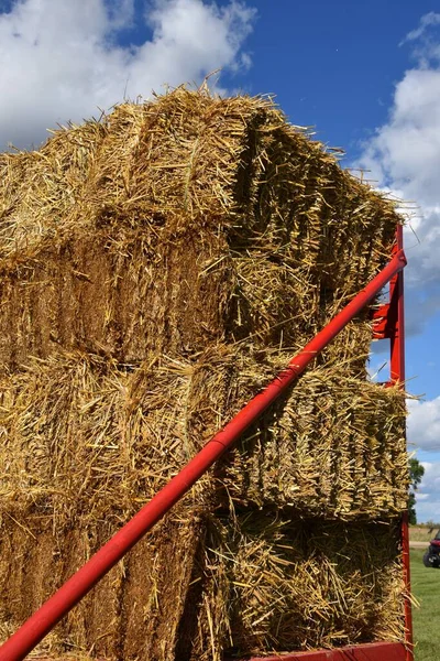 Hay Rack Loaded Straw Bales — Stock Photo, Image