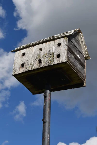 Uma Velha Casa Pássaros Martin Roxo Madeira Intemperizados Silhueta Contra — Fotografia de Stock