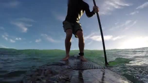 Standup Paddle Board Surfando Manhã Cedo Praia Waihi Nova Zelândia — Vídeo de Stock