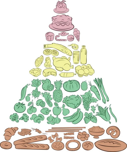Харчової піраміди — стоковий вектор