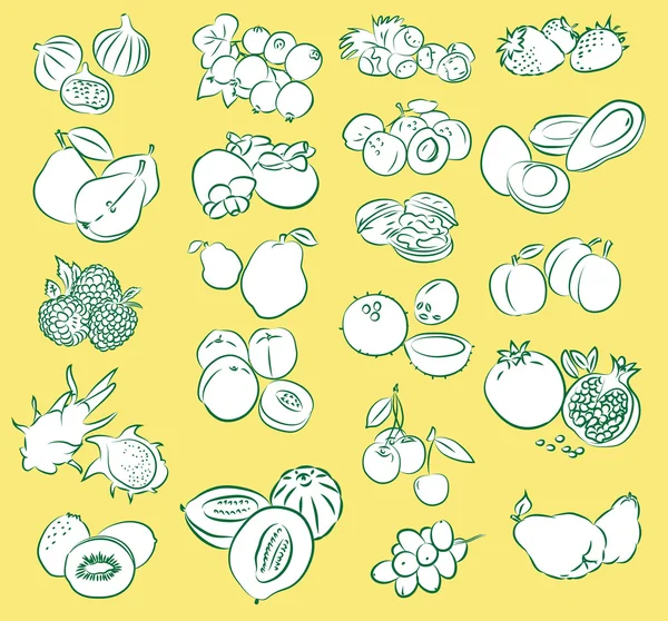 Frutas — Vector de stock