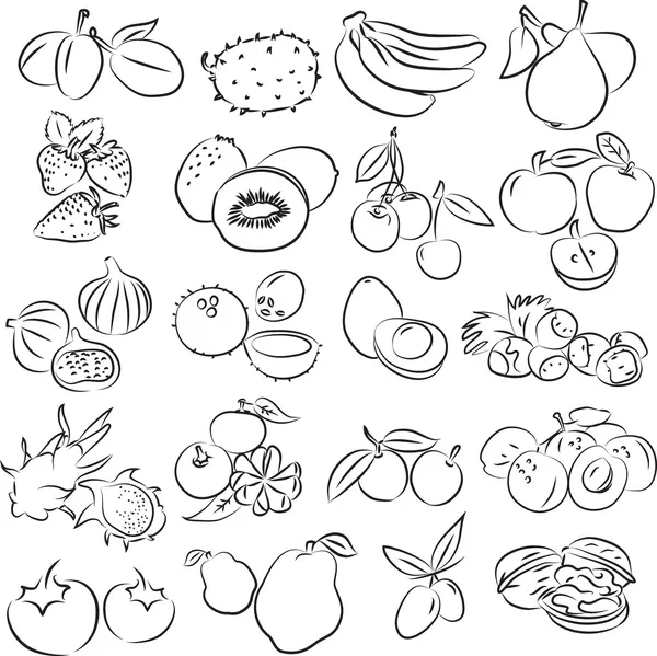 Frutas — Vector de stock