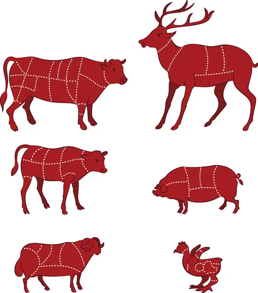 Schéma de coupe de la viande — Image vectorielle
