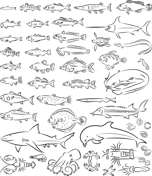 Meeresfische und Lebewesen — Stockvektor