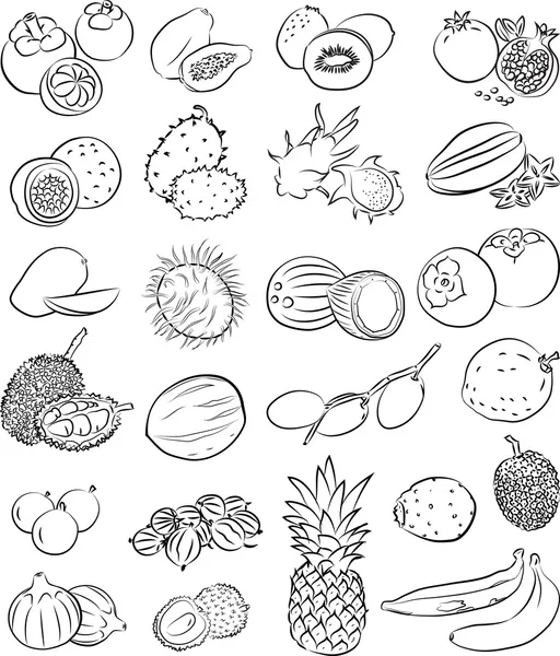 Fruits tropicaux — Image vectorielle