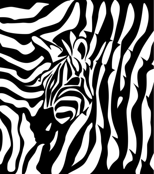 Zebra logotype