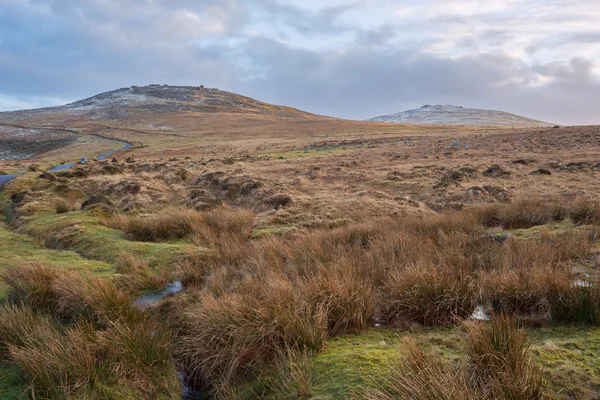 Dartmoor. — Fotografia de Stock