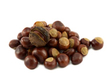 Conkers