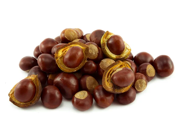 Conkers — Stock Photo, Image