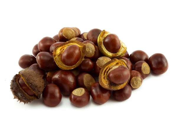 Conkers — Stock Photo, Image