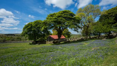 Emsworthy