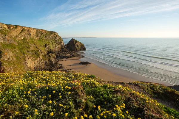 Bedruthan Steps — Stock Photo, Image