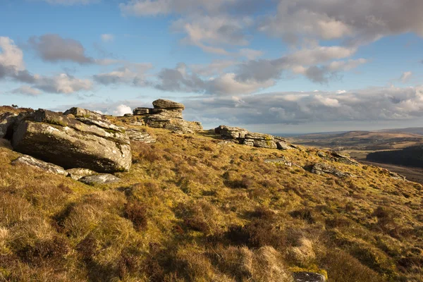 Birch Tor — Stock Photo, Image