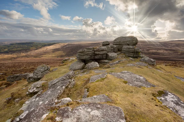 Birch Tor — Stock Photo, Image