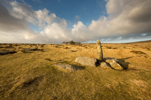 Standing stone. — Stock Photo, Image