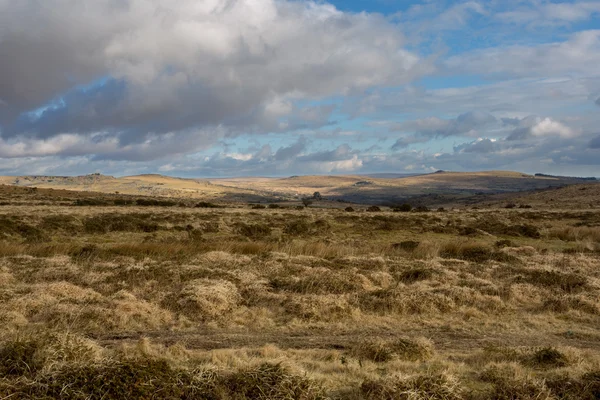 Vues sur Dartmoor — Photo