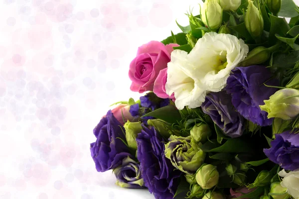 Flowers — Stock Photo, Image