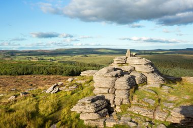 Bellever Tor