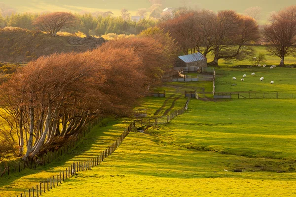 Engels platteland — Stockfoto