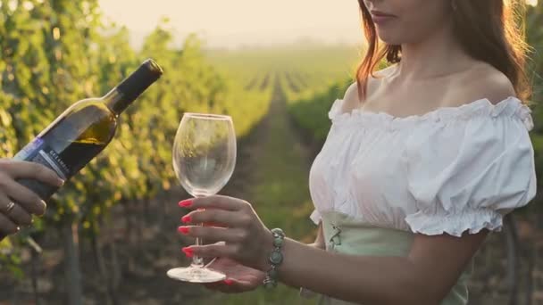 Weinprobe wird im Sommer bei Sonnenuntergang in ein Glas auf dem Hintergrund eines Weinbergs gegossen — Stockvideo