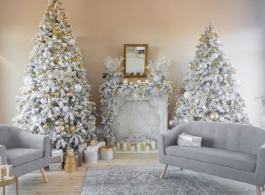 Güzel dekore edilmiş iki Noel ağacı, şöminesi, gri koltukları ve hediyeleri var.