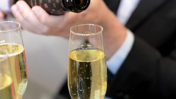 Pouring champagne or sparkling wine from bottle into glass into glasses for celebrating at party — Αρχείο Βίντεο