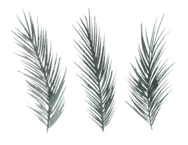 Tasarımcı elementler yeşil doğal orman çam ağacının toplanması çam ağacı dalları dallar yeşil eller kayıp suluboya stili.