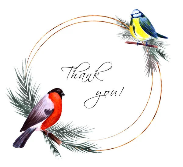 Winter round frame with hand painted watercolor bullfinch, blue tit and pine branches on white background. Golden circle frame. Thank you card template. — Stockfoto