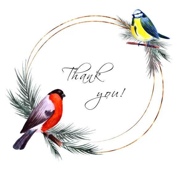 Winter round frame with hand painted watercolor bullfinch, blue tit and pine branches on white background. Golden circle frame. Thank you card template. — Foto Stock