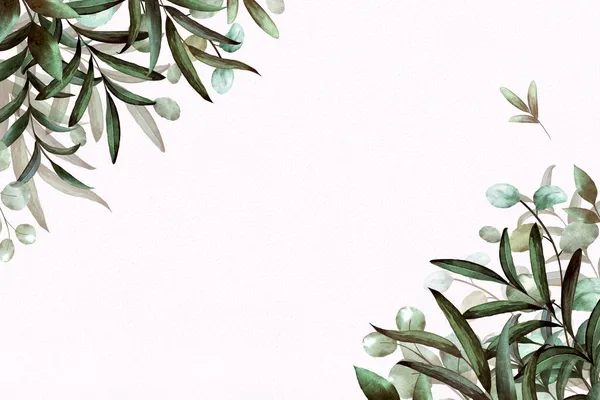 白地に手描きの水彩緑の葉を持つ植物のフレーム。長方形. — ストック写真