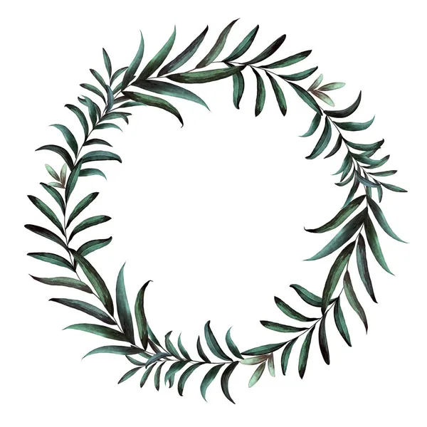 水の植物の花輪。白を基調とした手描きの緑丸枠. — ストック写真