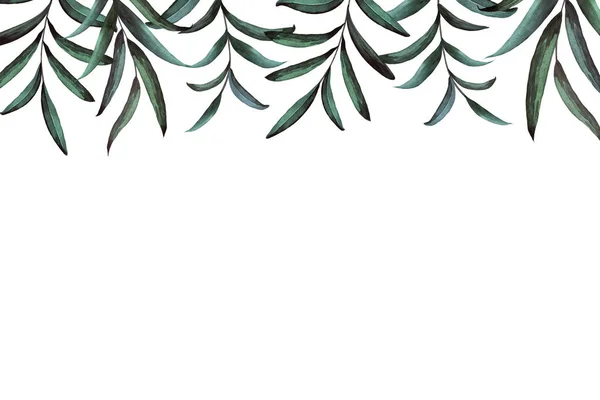 Quadro botânico com pintados à mão aquarela folhas verdes sobre fundo branco. Retângulo. — Fotografia de Stock