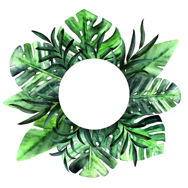 Cadre botanique de cercle de nature avec aquarelle feuilles tropicales sur fond blanc. Monstera, palmier, feuilles de bananier vert. Place pour le texte. — Photo