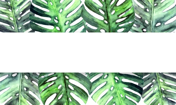 Monstera aquarela folhas no fundo branco. Moldura de natureza botânica com lugar para texto. Retângulo. Projeto de leigos planos. — Fotografia de Stock