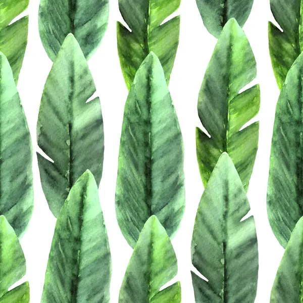 手描きの水彩バナナの葉と熱帯シームレスパターン。白地に緑の葉. — ストック写真