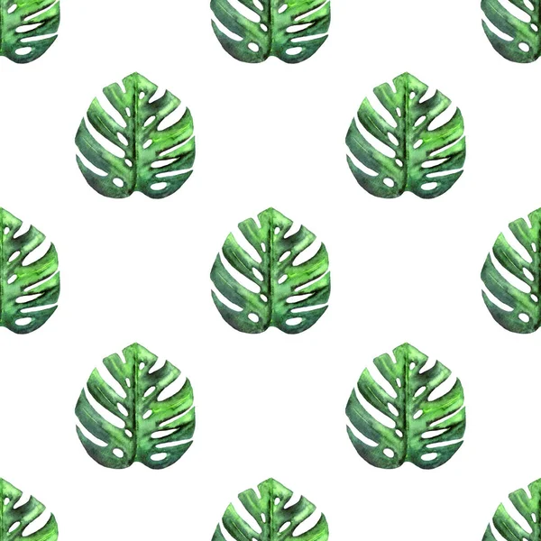 Tropické bezešvé vzor s ručně malované akvarel monstera listy. Zelené listy na bílém pozadí. — Stock fotografie