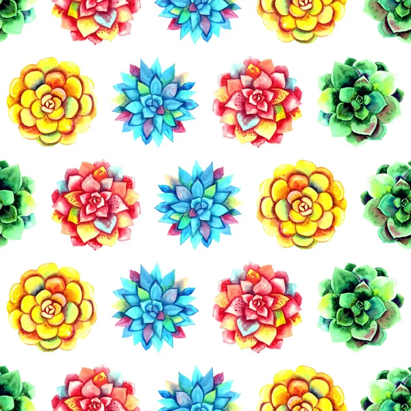 Hand painted watercolor succulent plants flowers. textile surface seamless pattern. — Stock Photo, Image