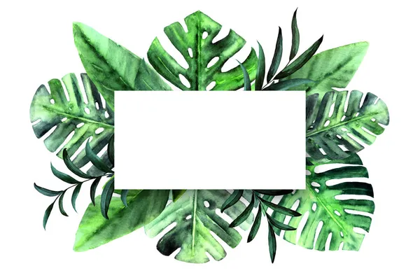 Quadro de retângulo de natureza botânica com aquarela folhas tropicais sobre fundo branco. Monstera, palma, folhas verdes de banana. Lugar para SMS. Projeto de leigos planos. — Fotografia de Stock