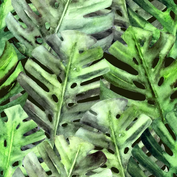 Tropické bezešvé vzor s ručně malované akvarel monstera listy. Zelené listy na tmavém pozadí. — Stock fotografie