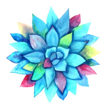 Mavi suluboya sulu bitki. Beyazda izole edilmiş.