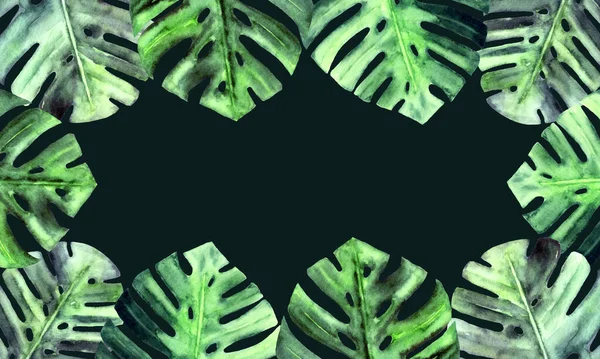 Watercolor monstera φύλλα σε σκούρο φόντο. Βοτανική φύση πλαίσιο με χώρο για κείμενο. Ορθογώνιο. Επίπεδος σχεδιασμός. — Φωτογραφία Αρχείου
