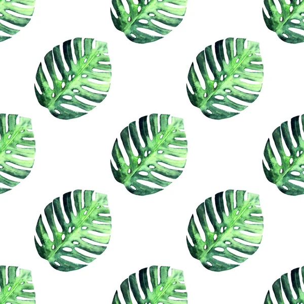 Tropické bezešvé vzor s ručně malované akvarel monstera listy. Zelené listy na bílém pozadí. — Stock fotografie