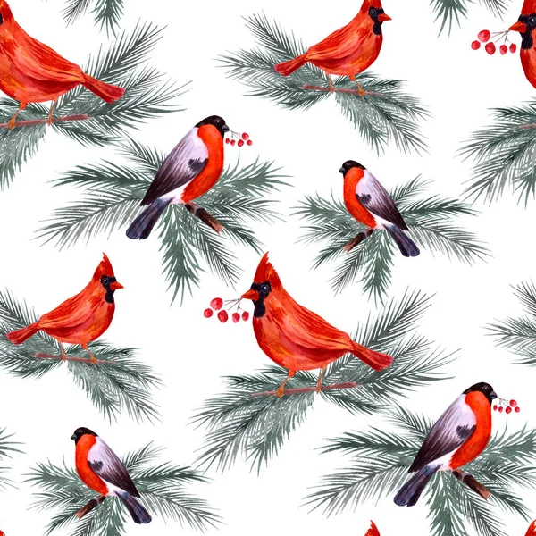 Winter nahtlose Muster mit Vögeln. Gimpel und Kardinal — Stockfoto