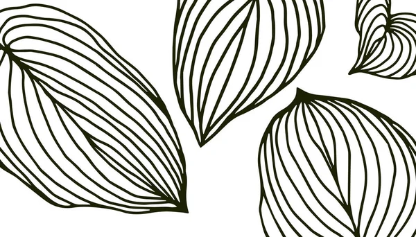 Green leaves line art on white background. Modern natural background — Stock Vector