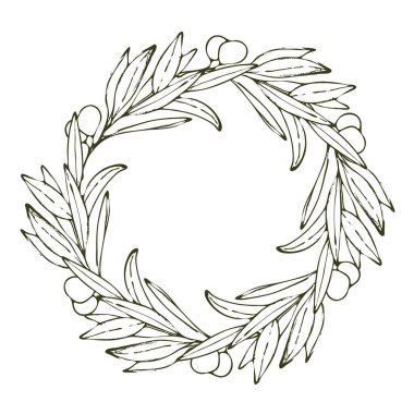 Beyaz üzerine el yapımı zeytin ağacı dalları.