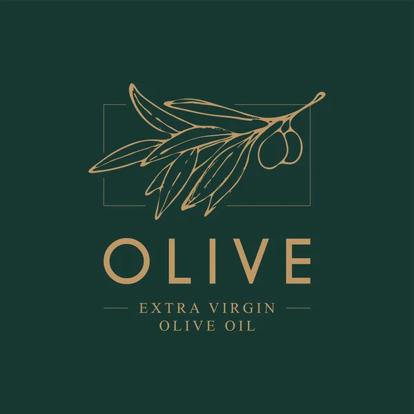 Элегантный шаблон логотипа с оливковой ветвью - простой линейный стиль — стоковый вектор