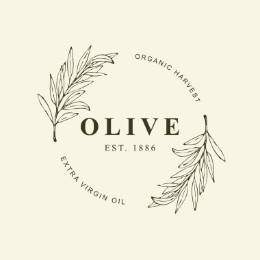 Zeytin dalı ile zarif bir logo şablonu - basit doğrusal biçim