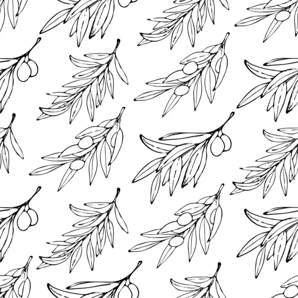 白い背景にインクオリーブの枝とシームレスなパターン. — ストックベクタ