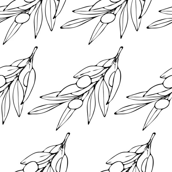 Nahtloses Muster Mit Olivenzweigen Auf Weißem Hintergrund Tusche Bemalt Oliven — Stockvektor